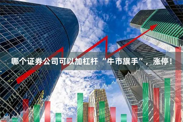哪个证券公司可以加杠杆 “牛市旗手”，涨停！